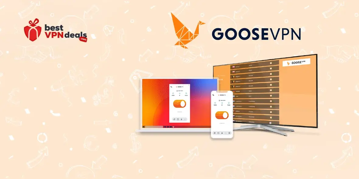 Goose VPN Review 2023- Price, Features, and the Safety Standard